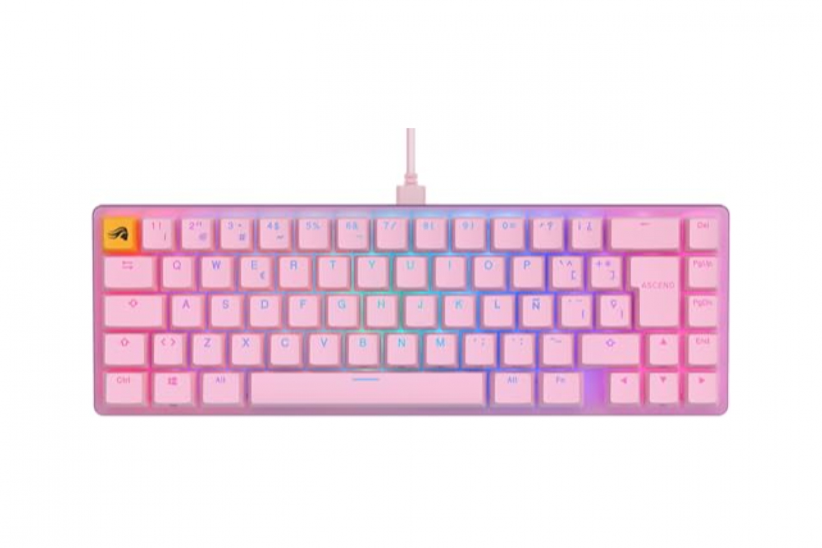 Les offres pour aujourd'hui incluent ce clavier compact compact compact GMMK 2 pour 39,80, des souvenirs DDR5, des souris bon marché et plus