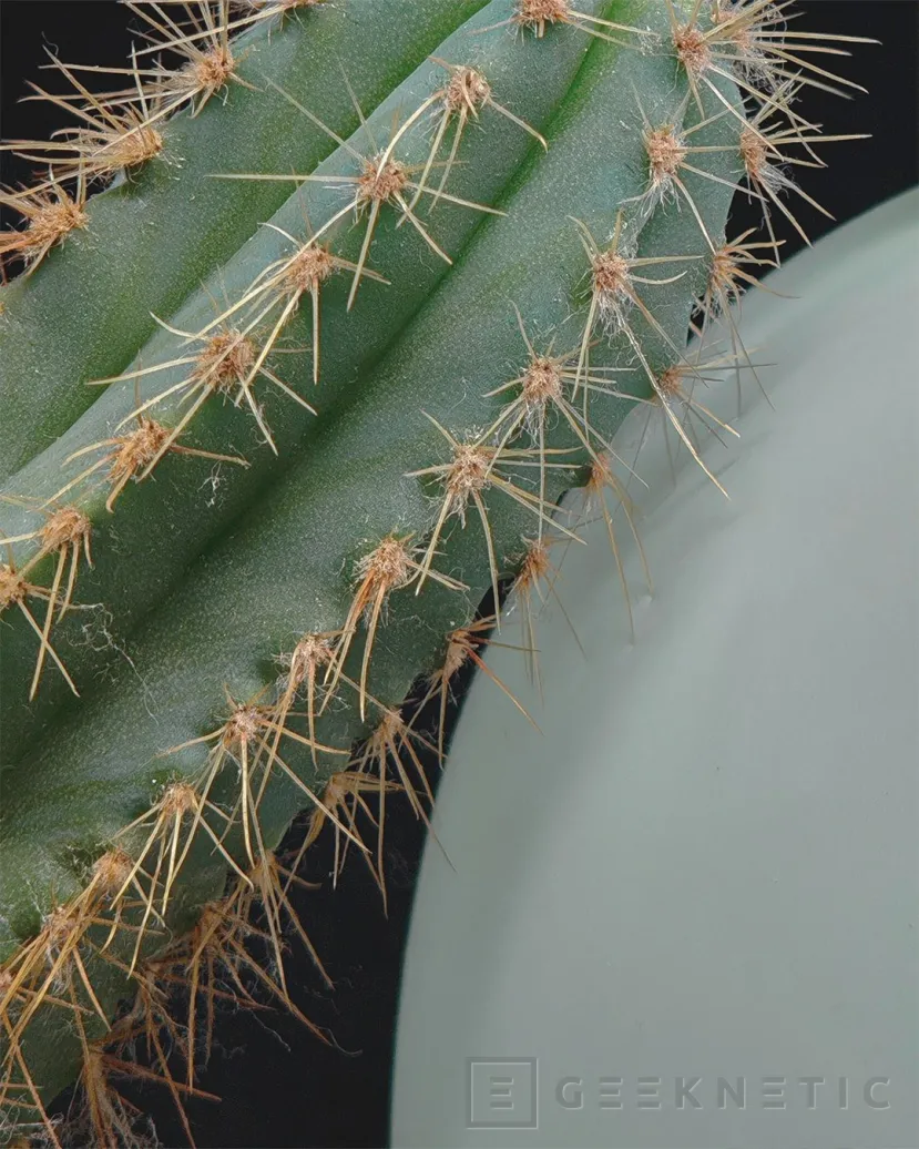 Geeknetic el Nothing Phone (3) est exposé: spécifications filtrées et échantillons photographiques en mode macro 3