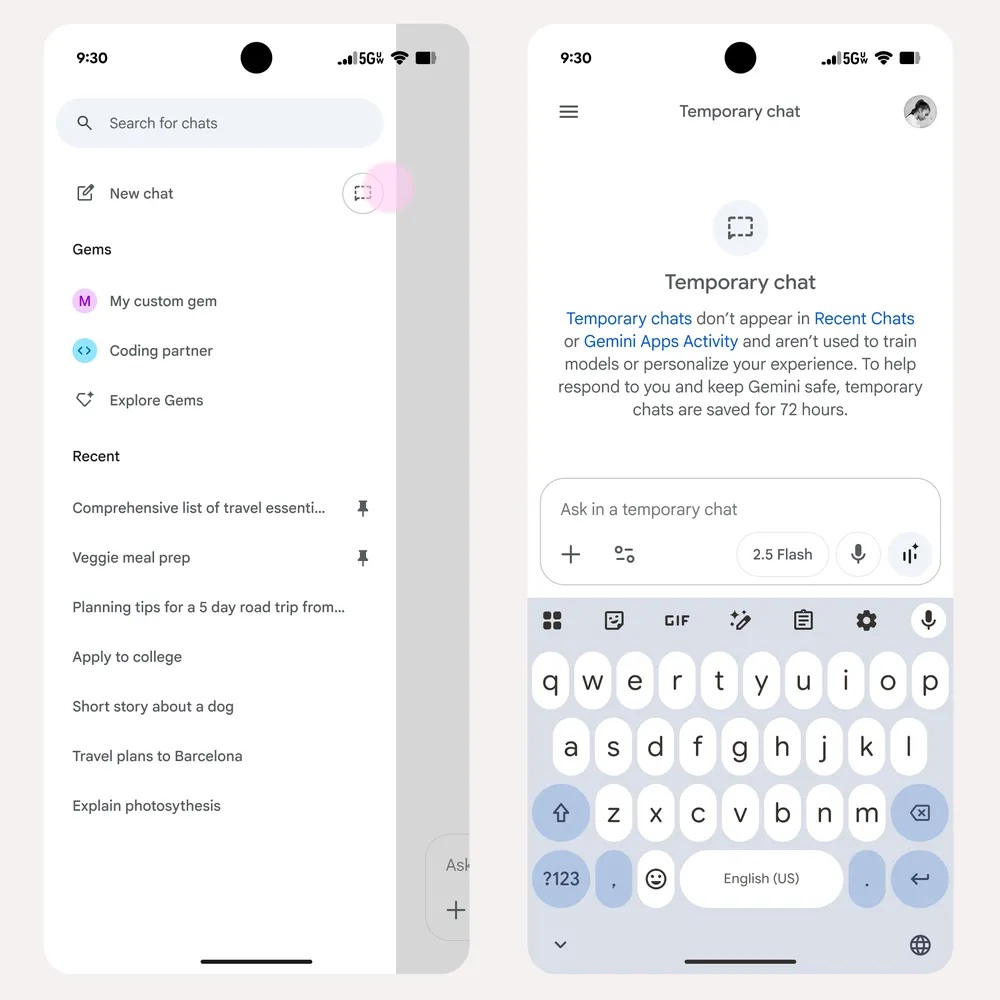 Application Gemini - Officiel de chat temporaire