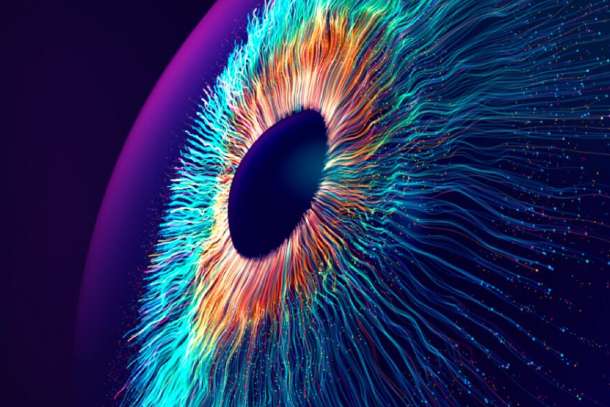 ARM ARRIRA LE MARCHÉ PC avec ses processeurs NIVA