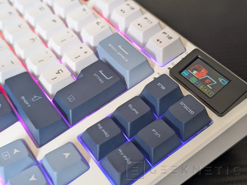 Geeknetic MSI Forge GK600 TKL Wireless Review 14