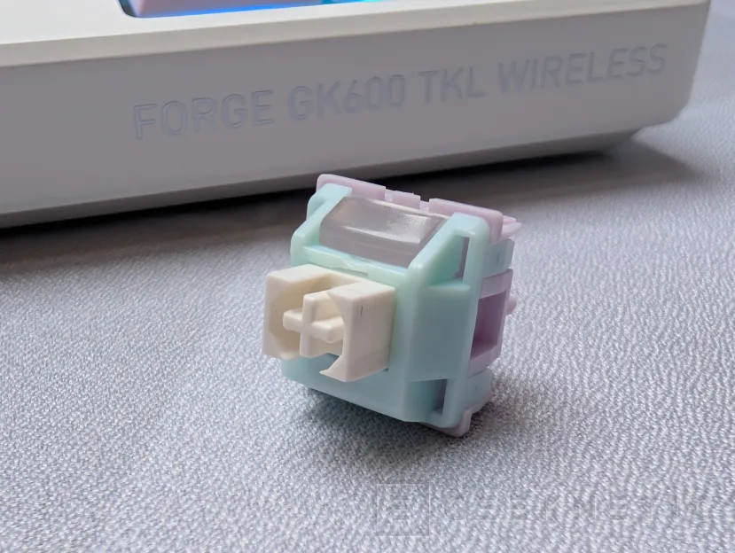 Geeknetic MSI Forge GK600 TKL Wireless Review 8