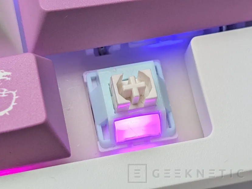 Geeknetic MSI Forge GK600 TKL Wireless Review 10