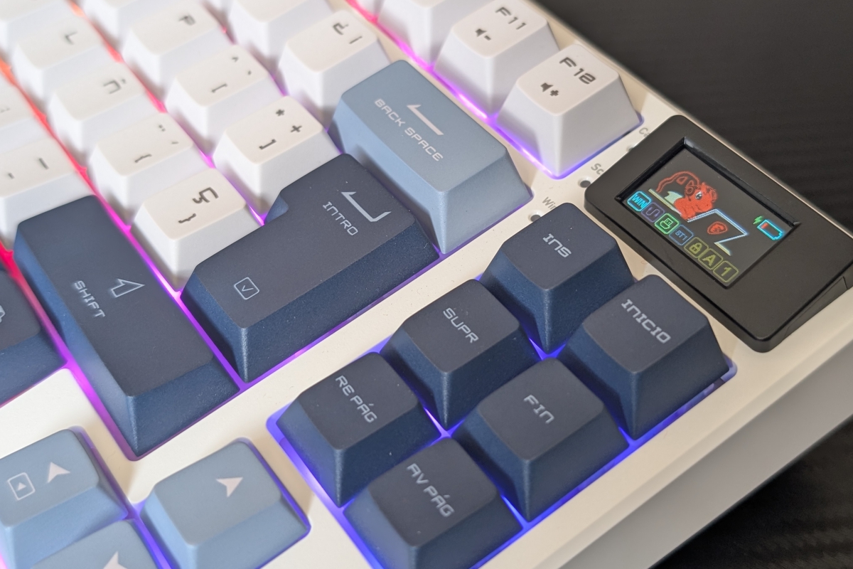 MSI Forge GK600 TKL Wireless Review