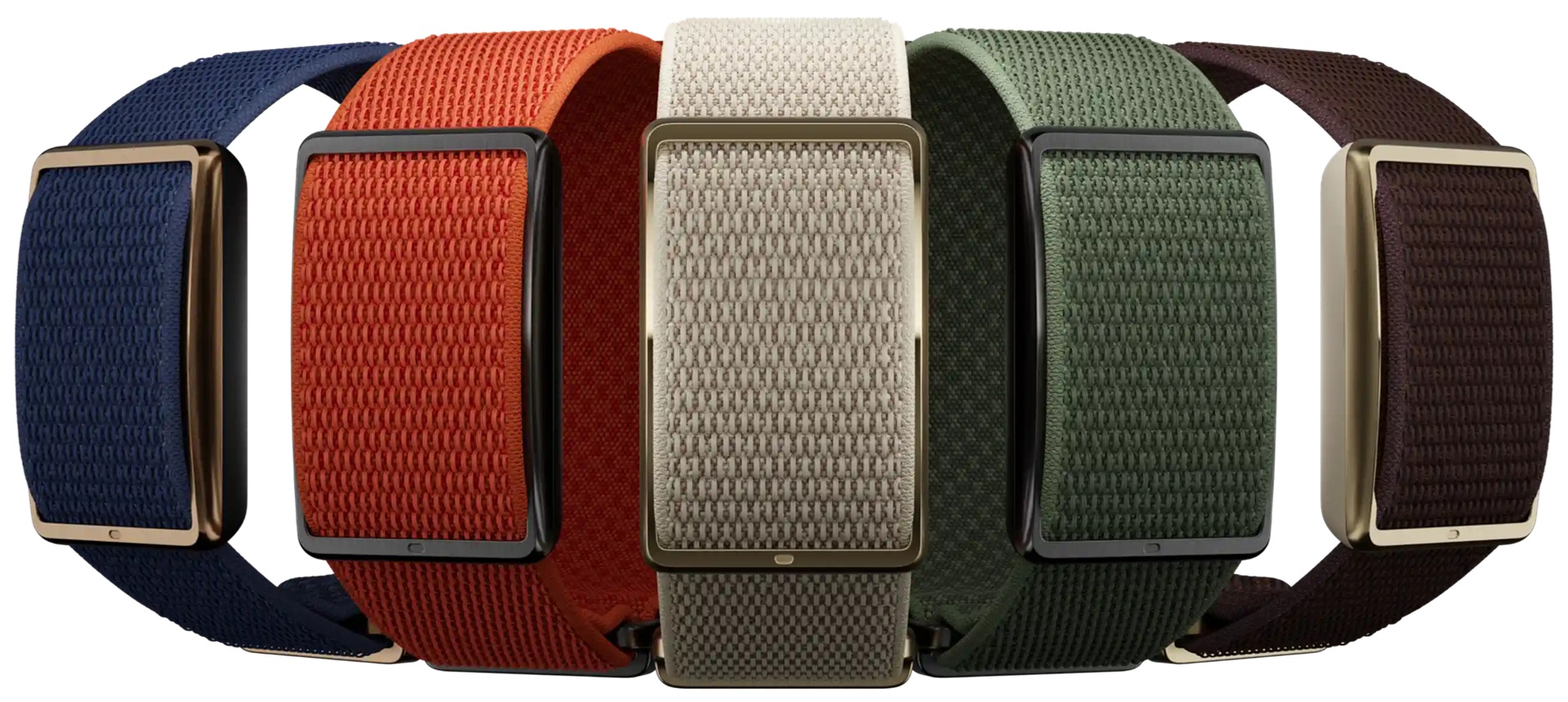 Boucle polaire - coloriages