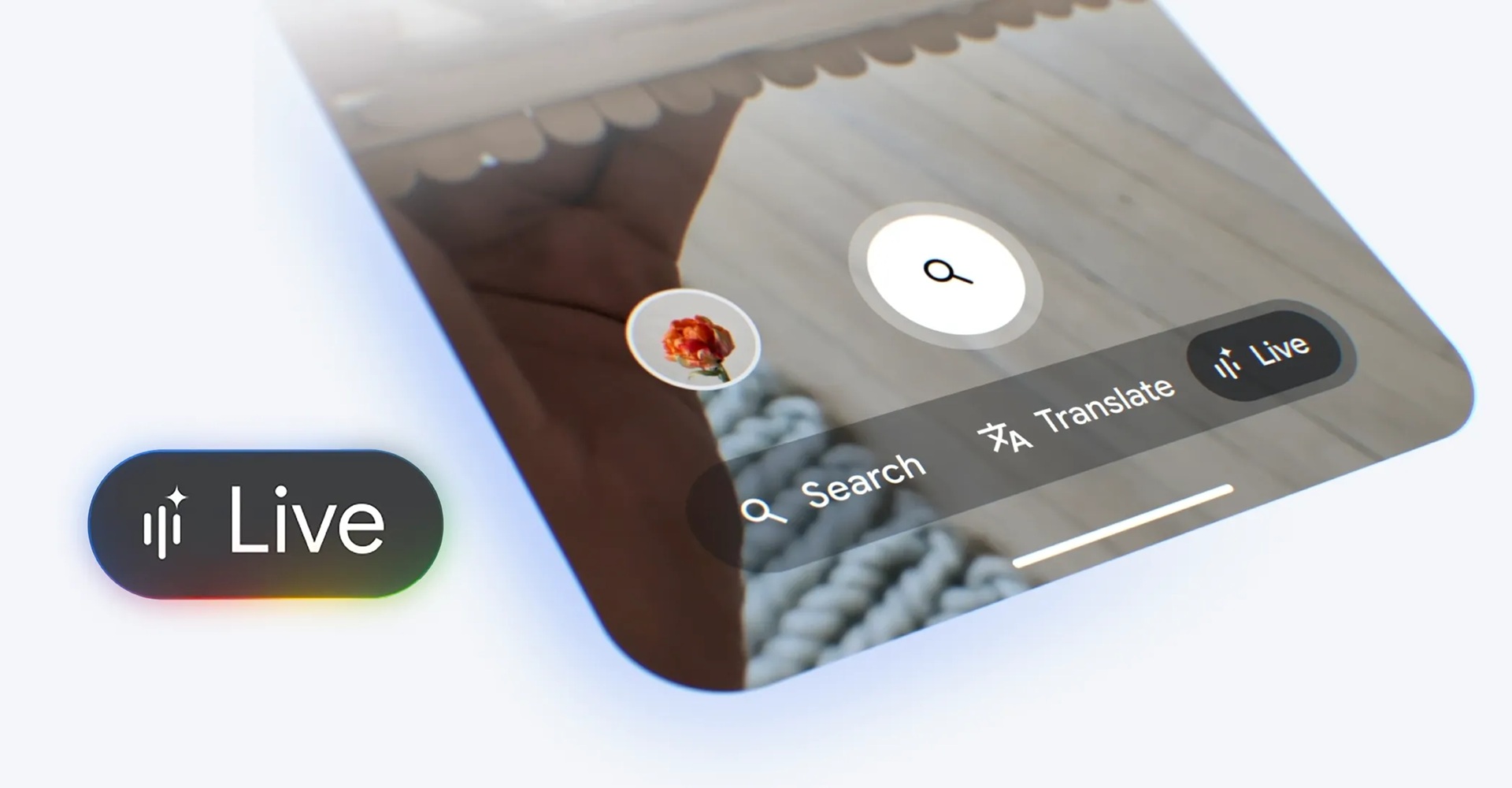 Google - Roulout Search Live USA