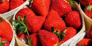 Ni au réfrigérateur ni dans la corbeille à fruits : voici le meilleur endroit pour conserver les fraises et éviter qu’elles ne pourrissent