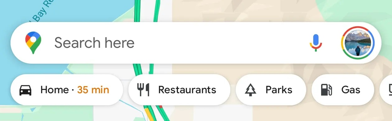Puces Google Maps Accueil