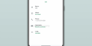 Un espace réservé aux noms d’utilisateurs apparaît dans la dernière version bêta de WhatsApp, l’application se prépare à améliorer sa confidentialité