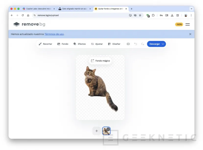 Geeknetic Comment créer des modèles 3D avec n'importe quelle photo grâce à Copilot 5
