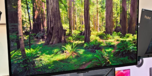 ASUS renouvelle ses gammes ProArt et ZenScreen avec de nouveaux panneaux OLED 240 Hz et des solutions portables haute fréquence