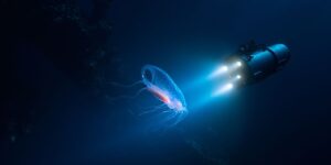 À 11 000 mètres sous la surface une sonde filme une forme de vie inattendue