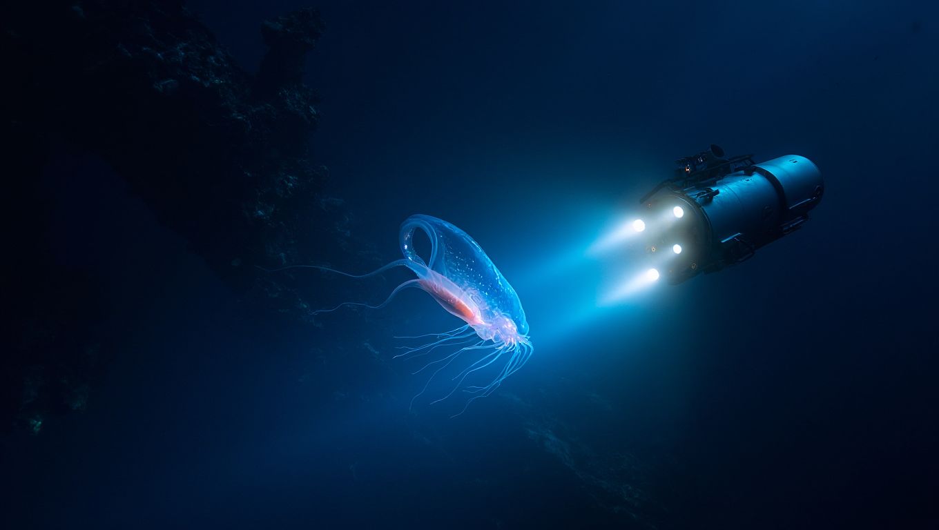 À 11 000 mètres sous la surface une sonde filme une forme de vie inattendue