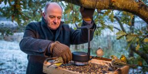 Dès les premiers froids ce geste devant la mangeoire peut sauver des dizaines dʼoiseaux