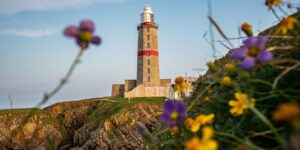 Deux choses à voir et une à savoir avant de visiter le Cap Fréhel au printemps