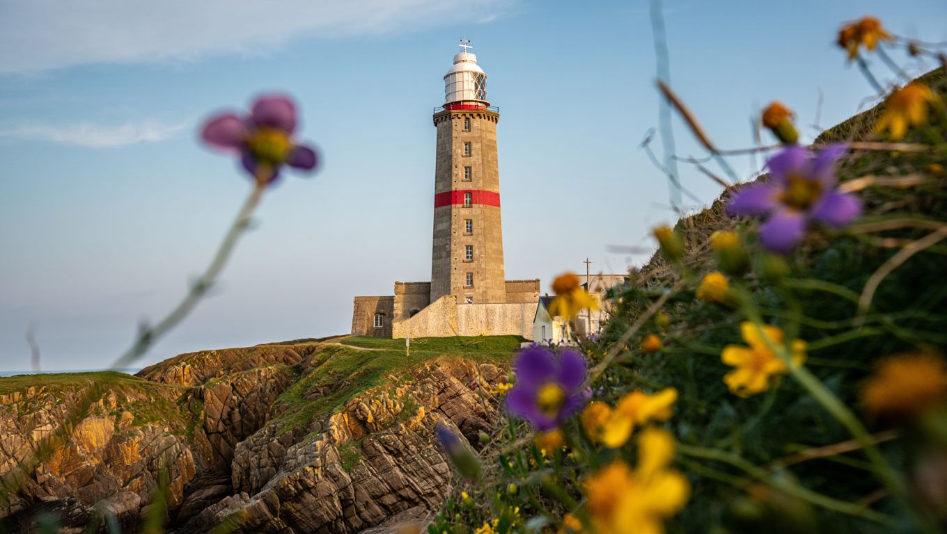 Deux choses à voir et une à savoir avant de visiter le Cap Fréhel au printemps