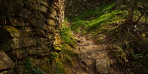 En mai le sentier des douaniers se découvre sans la foule et sous une lumière parfaite