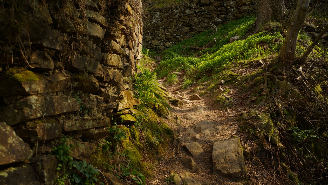 En mai le sentier des douaniers se découvre sans la foule et sous une lumière parfaite
