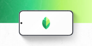 Snapseed attend un puissant outil de création de collages (gratuit)