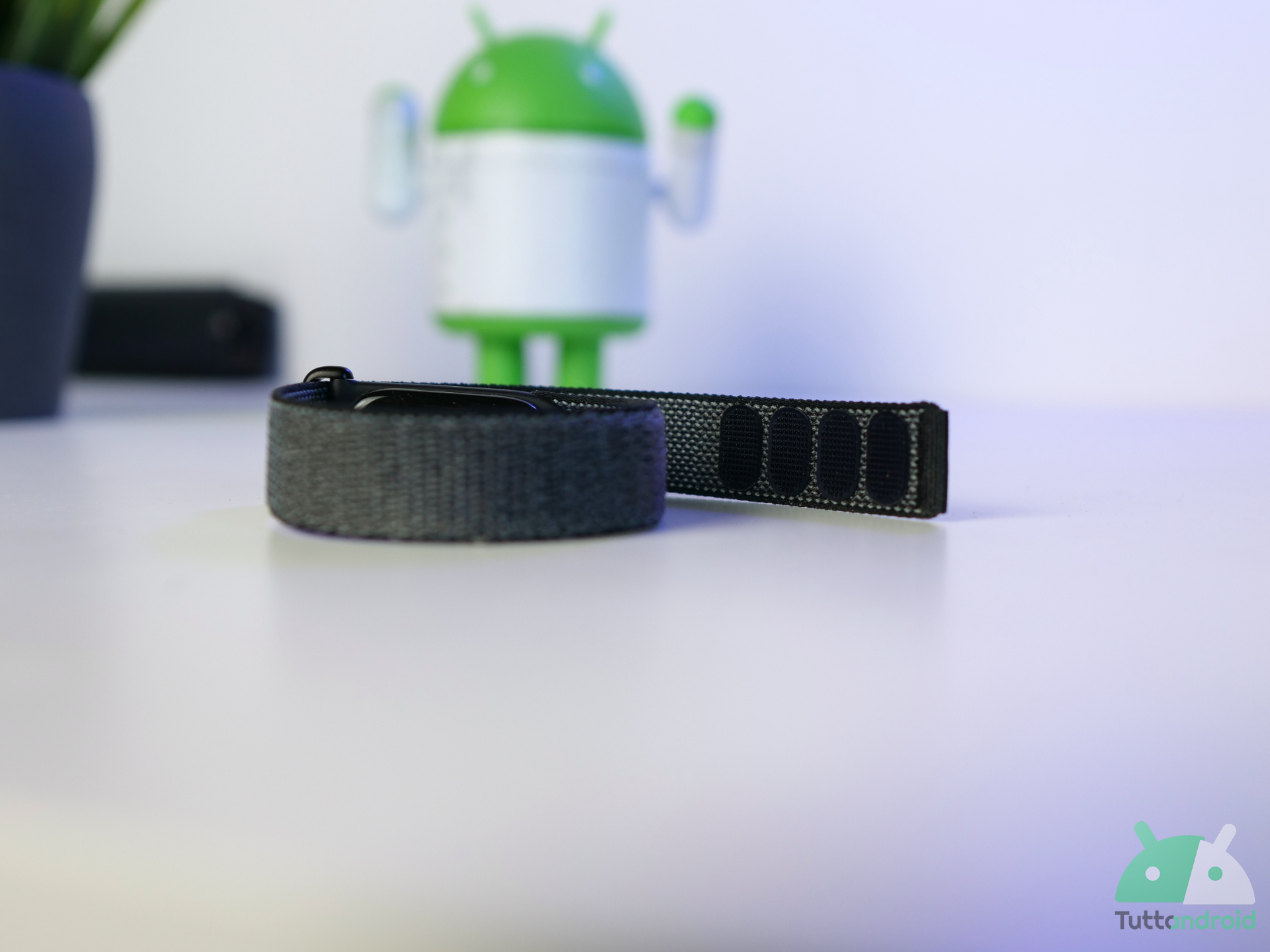 Google Fitbit Air